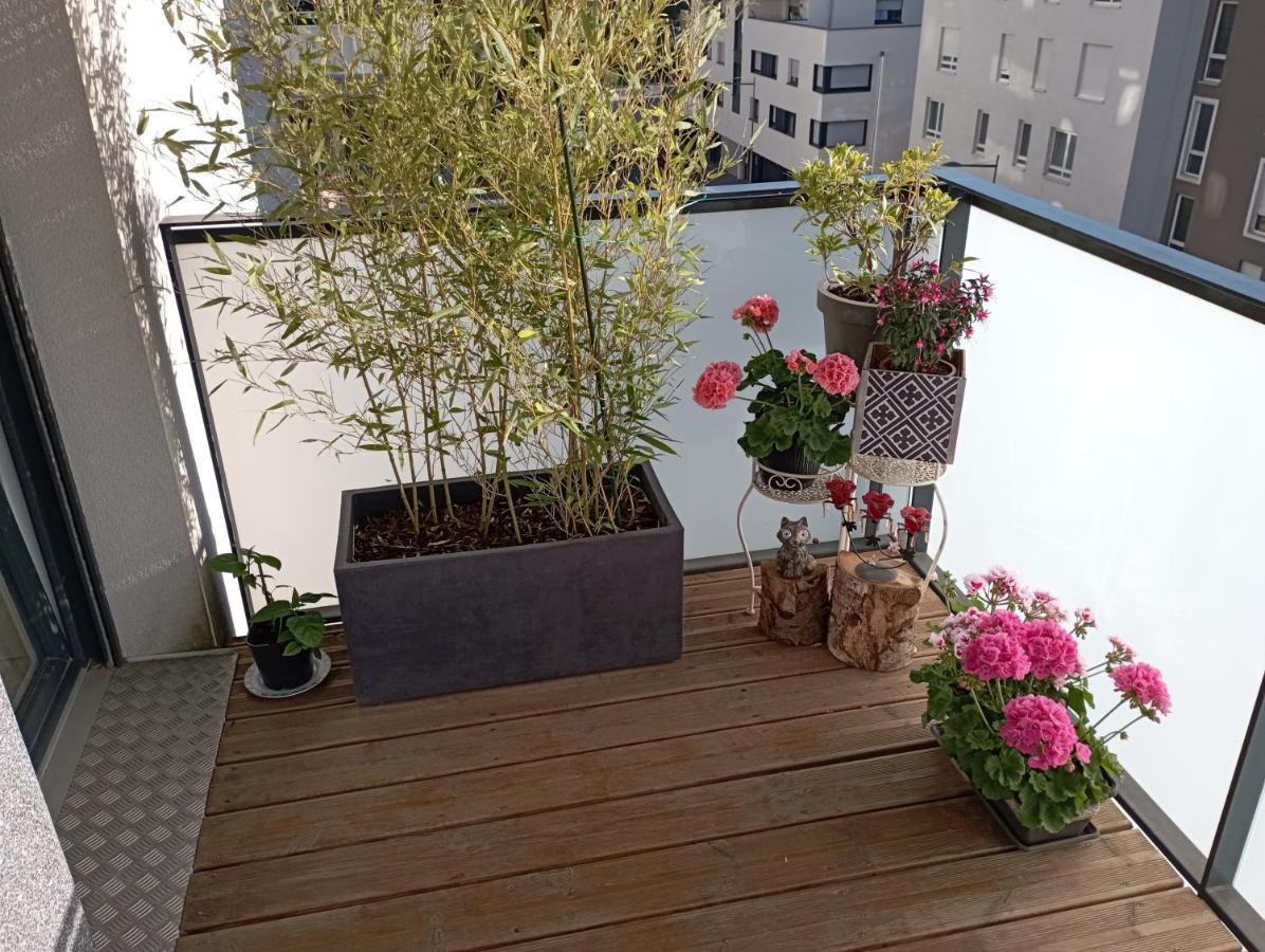 Chambre Nature Chez L'Habitant Strasbourg Exterior photo